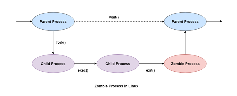 Zombie Process in Linux